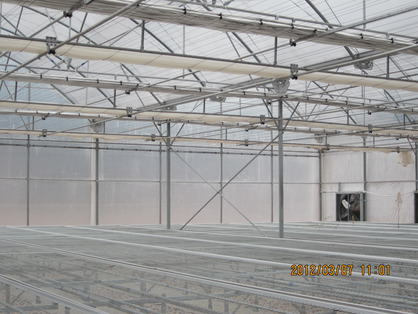 SHG Greenhouse