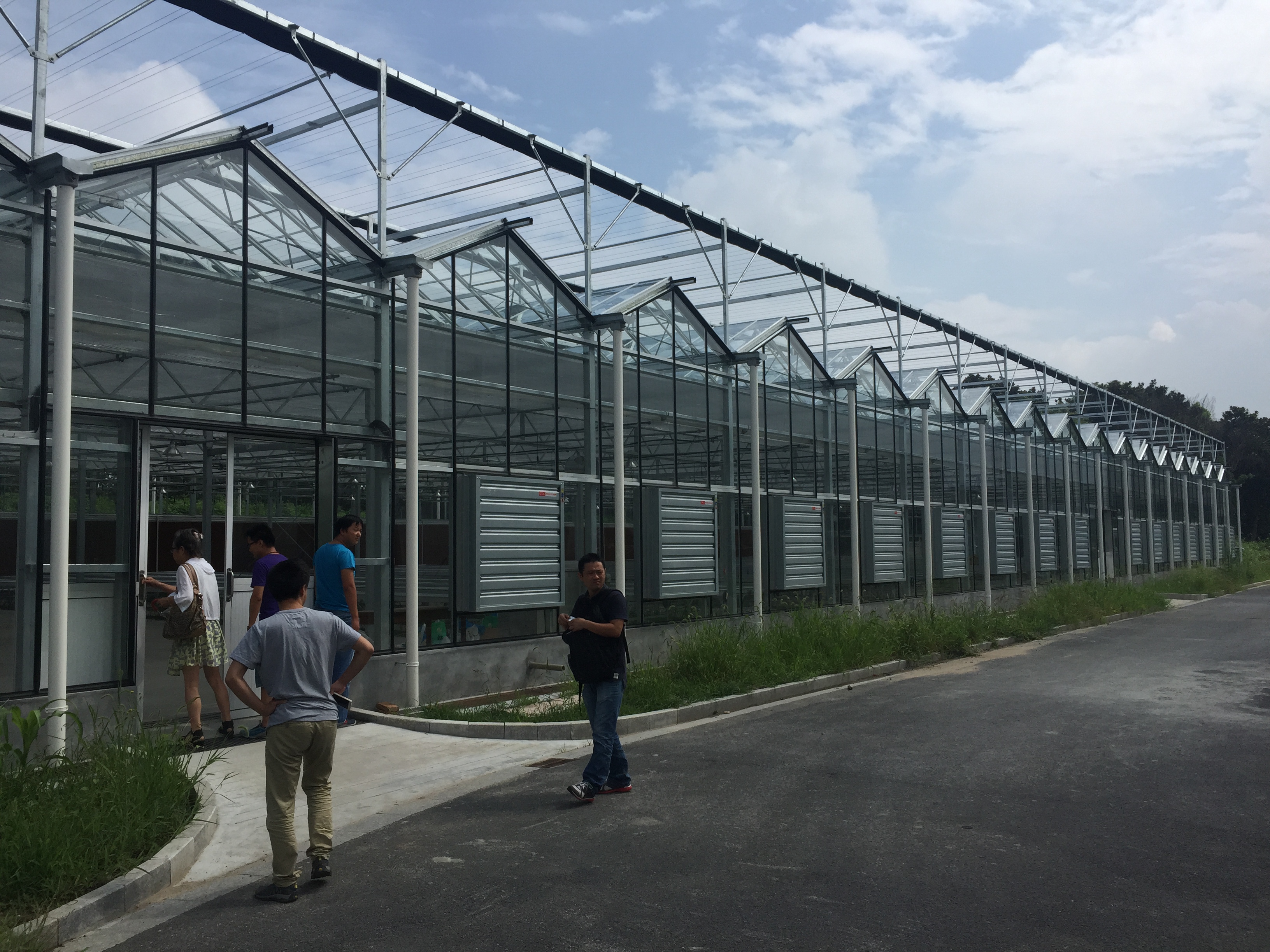 SHG Greenhouse