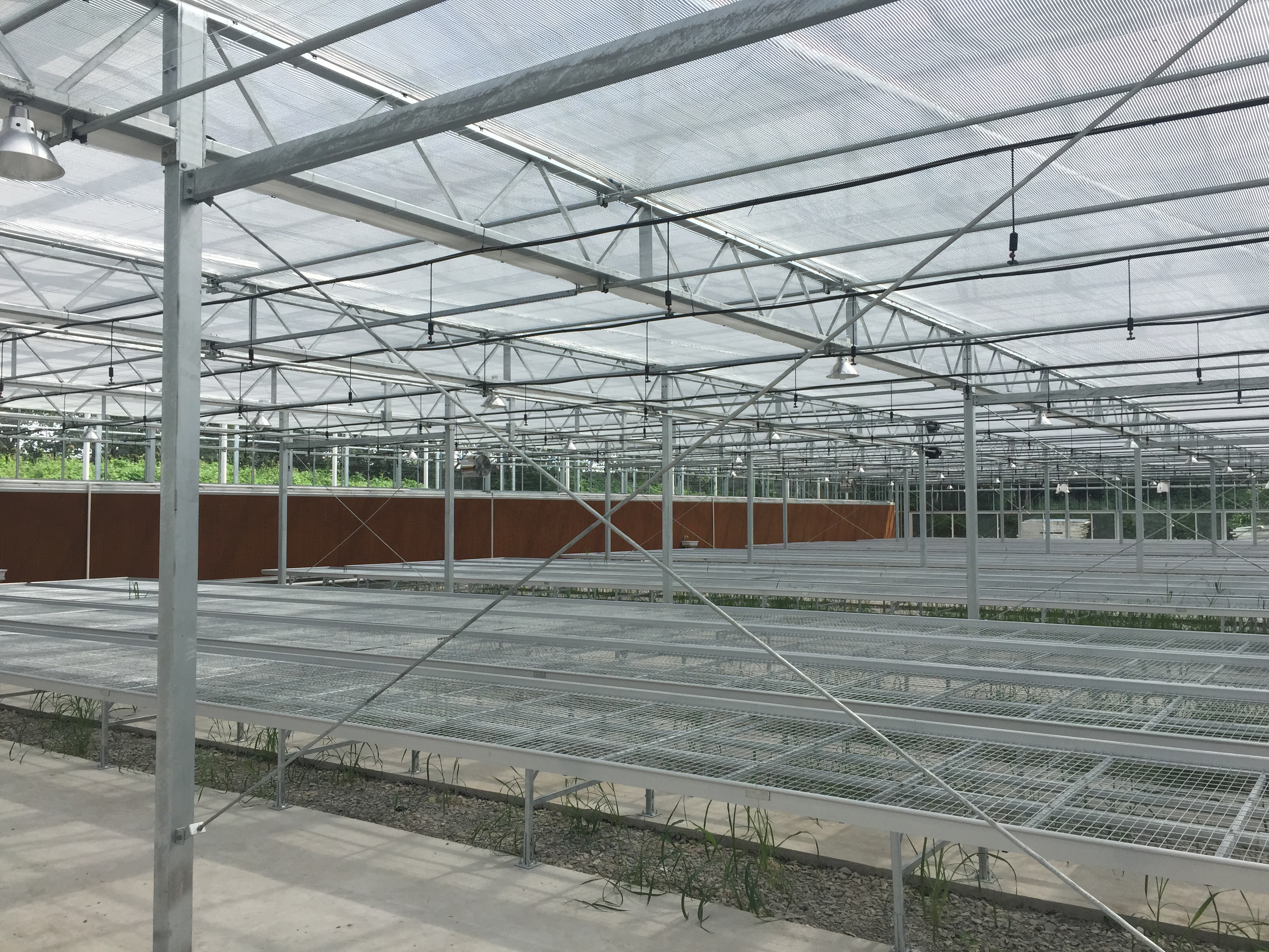 SHG Greenhouse