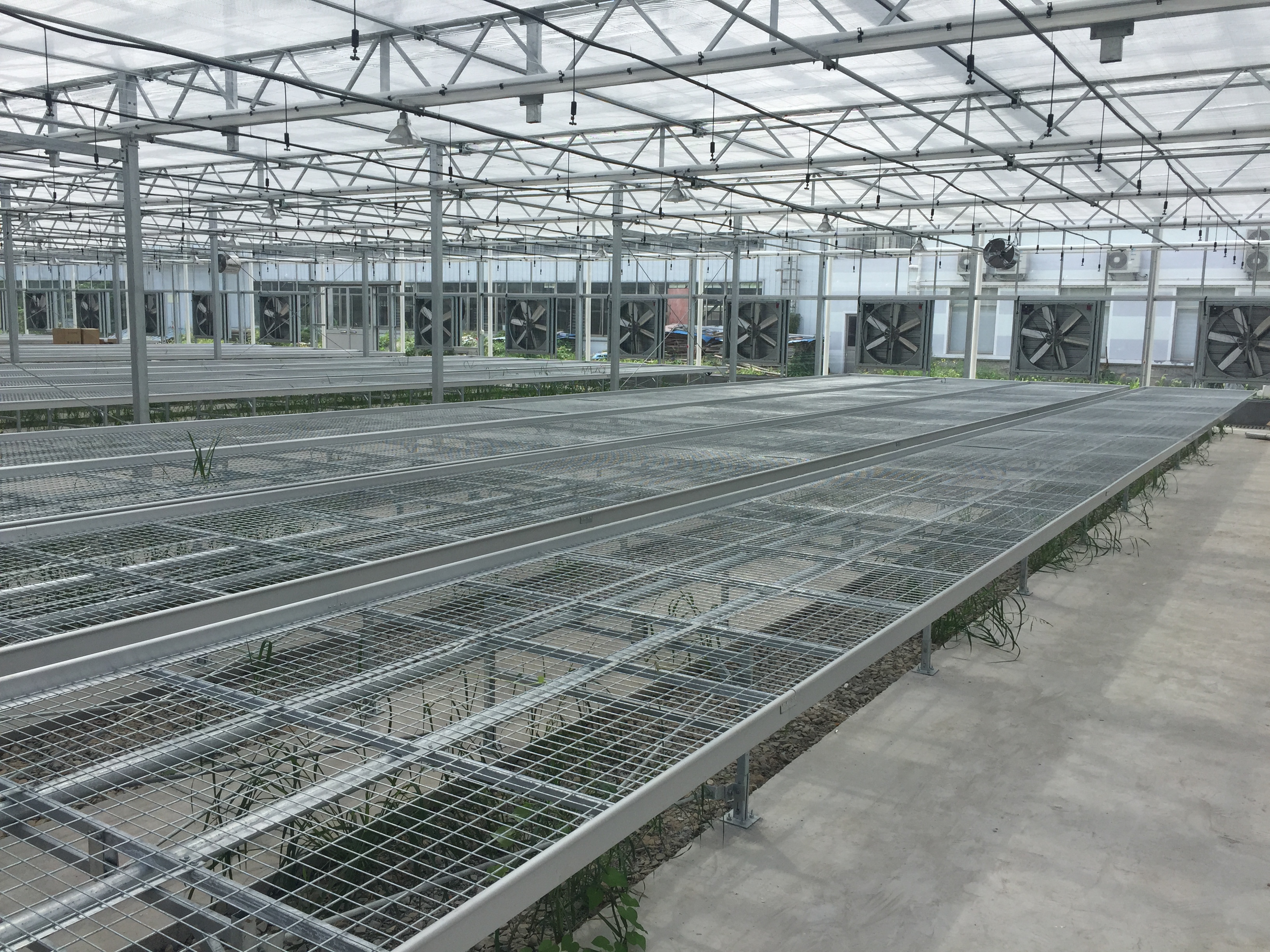 SHG Greenhouse