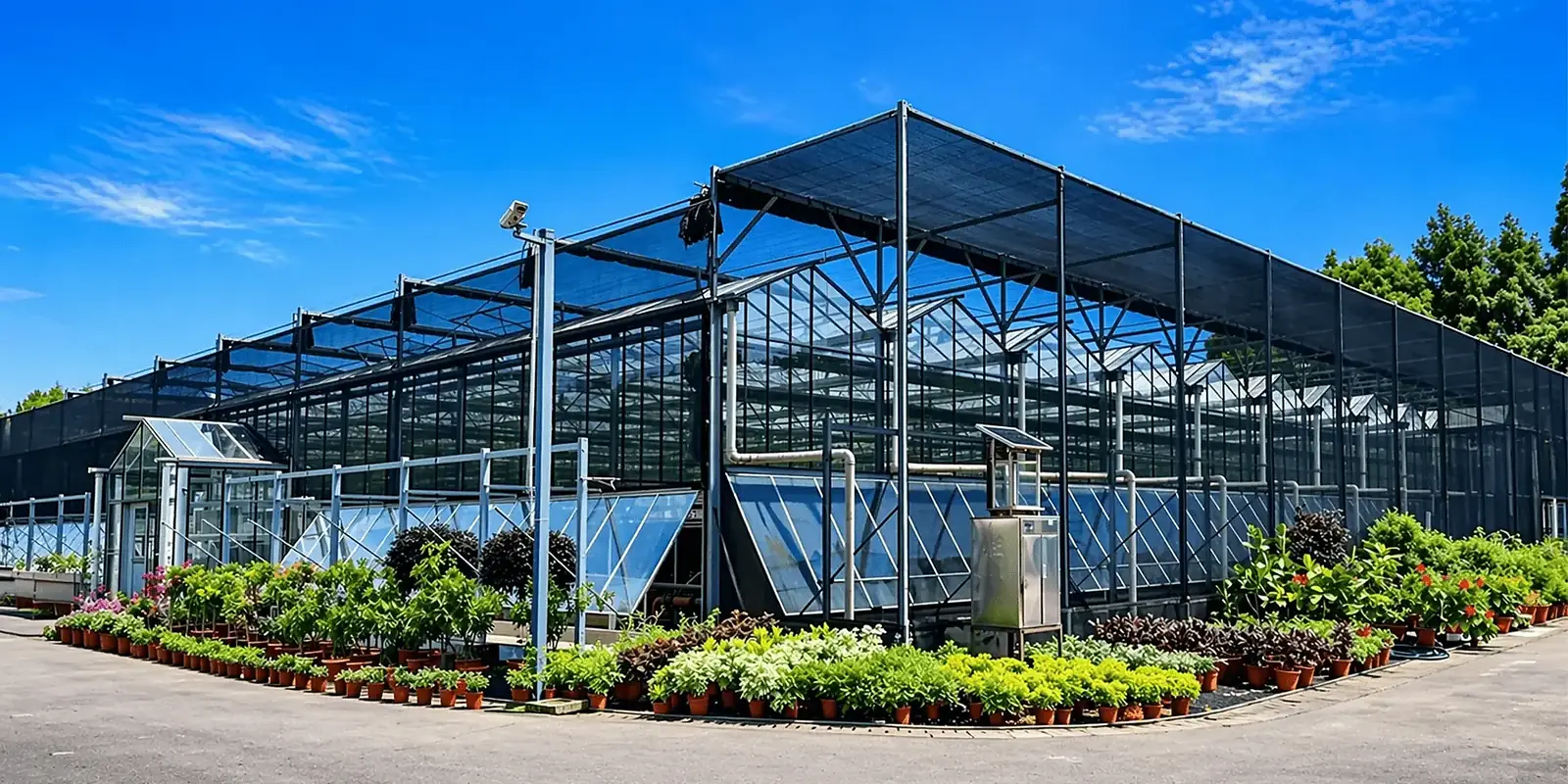Crafting Global Greenhouses